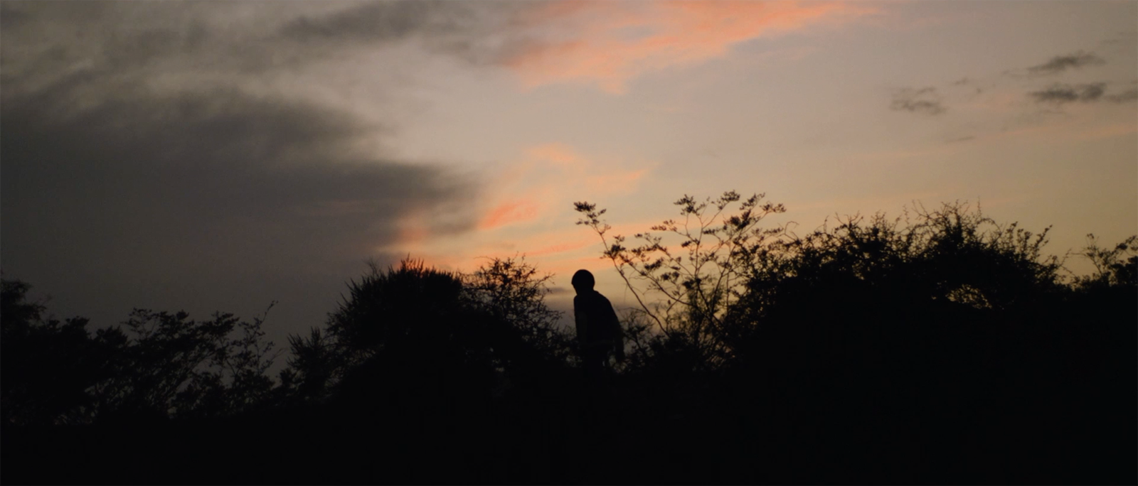 sonidosdelatierra2